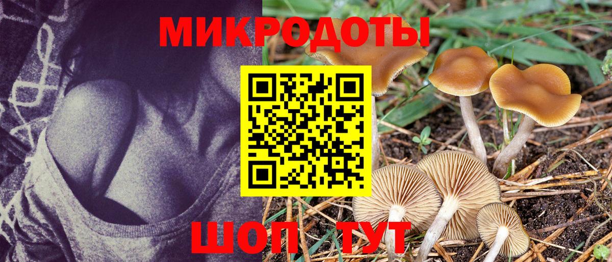 Галлюциногенные грибы GOLDEN TEACHER  Галлюциногенные грибы Cubensis  Вход с VPN  Учалы 